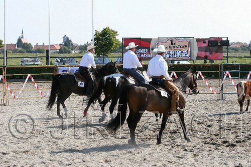 MEC06_3189.jpg