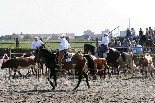 MEC06_3193.jpg