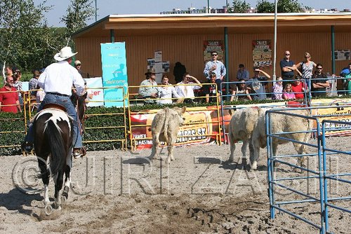 MEC06_3200.jpg