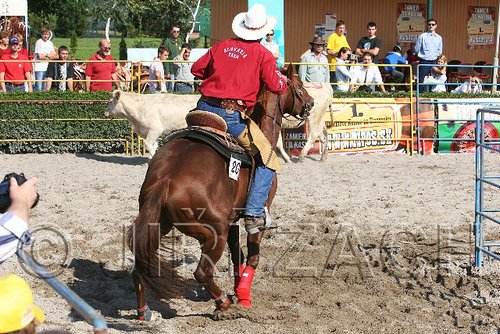 MEC06_3225.jpg
