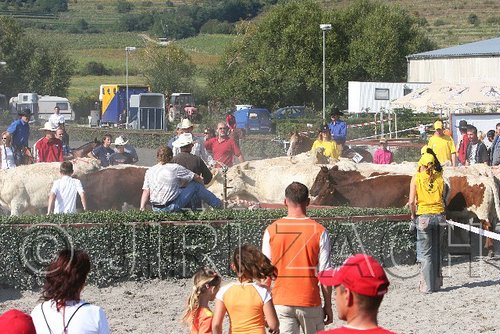 MEC06_3241.jpg