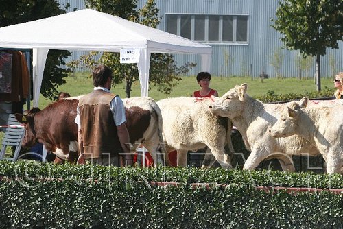 MEC06_3244.jpg