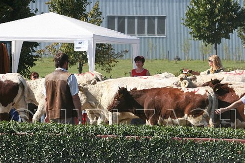 MEC06_3245.jpg