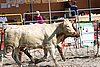 MEC06_2981.jpg