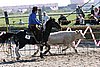 MEC06_3011.jpg
