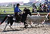 MEC06_3012.jpg