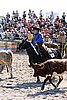 MEC06_3013.jpg
