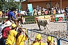 MEC06_3016.jpg