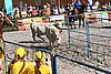 MEC06_3017.jpg