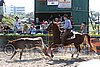 MEC06_3022.jpg