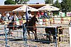 MEC06_3030.jpg