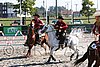 MEC06_3045.jpg