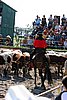MEC06_3060.jpg