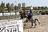 MEC06_3070.jpg