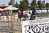 MEC06_3071.jpg