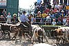 MEC06_3075.jpg