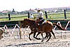 MEC06_3097.jpg