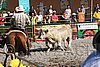 MEC06_3108.jpg