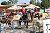 MEC06_3110.jpg