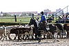 MEC06_3151.jpg