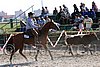 MEC06_3158.jpg