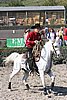 MEC06_3163.jpg