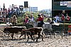 MEC06_3165.jpg