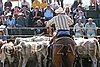 MEC06_3169.jpg