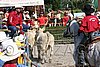 MEC06_3187.jpg