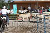 MEC06_3199.jpg