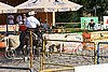 MEC06_3202.jpg