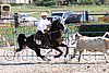 MEC06_3204.jpg