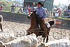 MEC06_3217.jpg