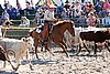 MEC06_3220.jpg