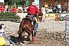 MEC06_3225.jpg