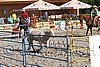 MEC06_3227.jpg
