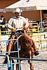 MEC06_3231.jpg