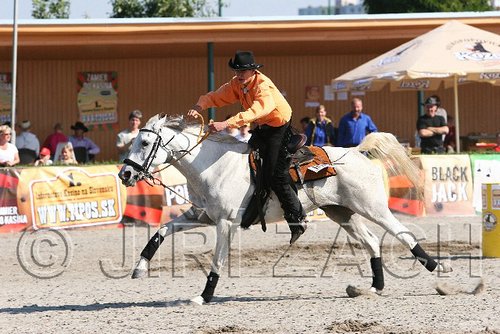 MEC06_4218.jpg