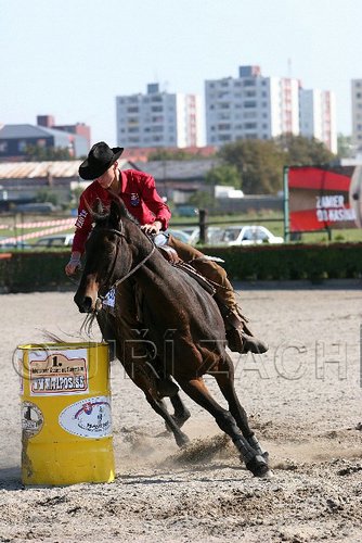 MEC06_4236.jpg