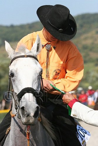 MEC06_4282.jpg