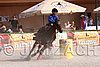 MEC06_4196.jpg