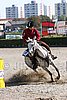 MEC06_4205.jpg