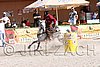 MEC06_4206.jpg