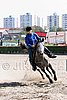 MEC06_4220.jpg
