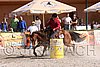 MEC06_4226.jpg