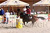 MEC06_4231.jpg