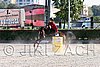 MEC06_4233.jpg