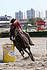 MEC06_4236.jpg