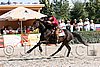 MEC06_4239.jpg