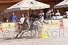 MEC06_4255.jpg